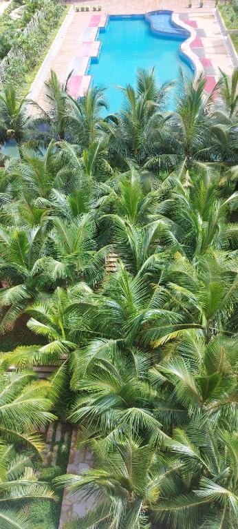 TATA Rio-De-Goa