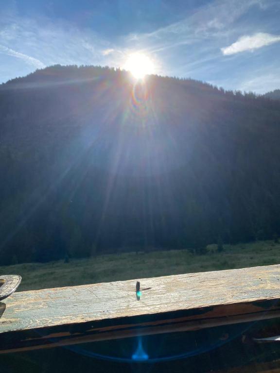 Almhütte Prem2 - 3
