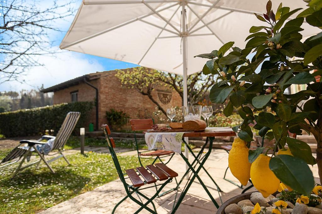 COUNTRYHOUSE NOCINO - Regarda Travel - 1