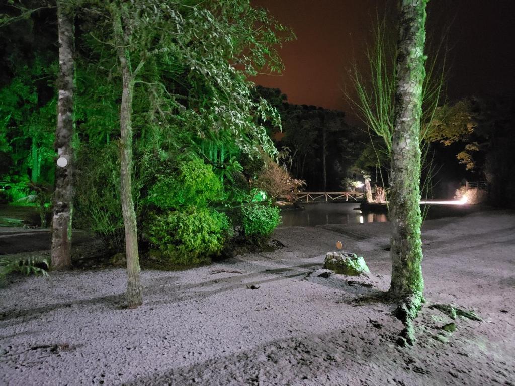 Surrounding environment