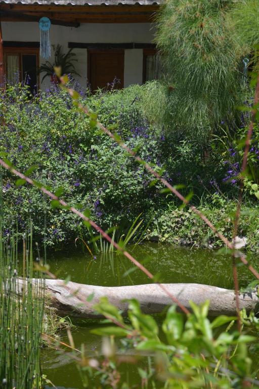 Hosteria Quinta Alta - 3