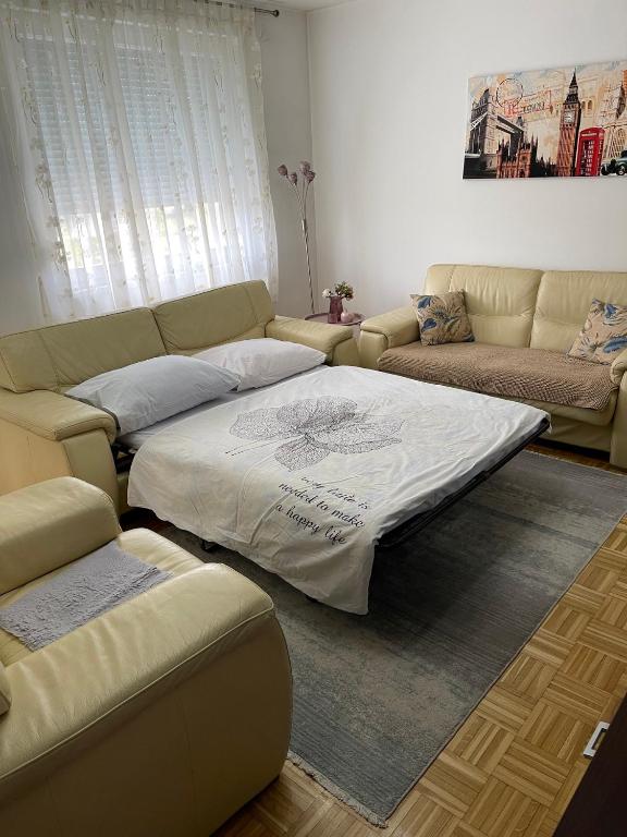 Apartment Host - 2