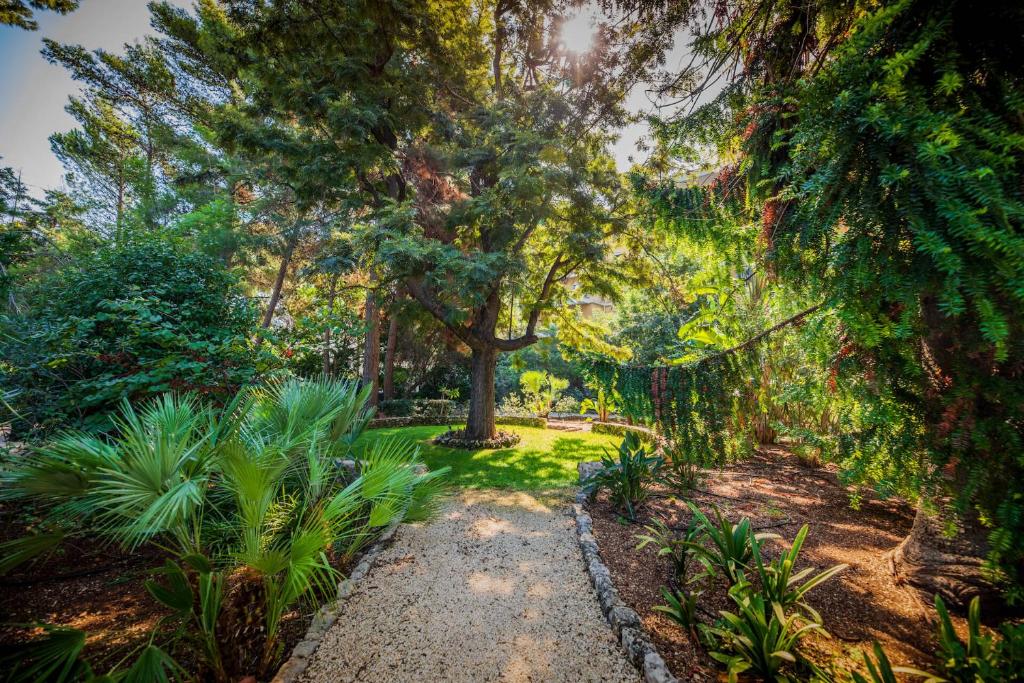 Surrounding environment