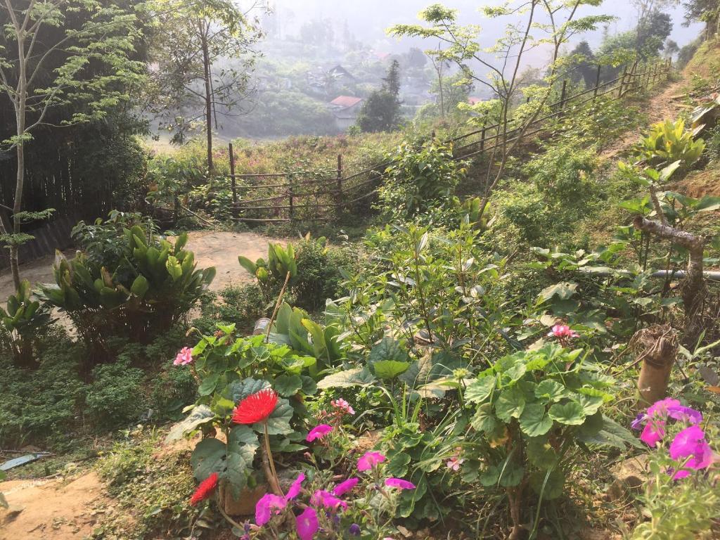 Vi homestay