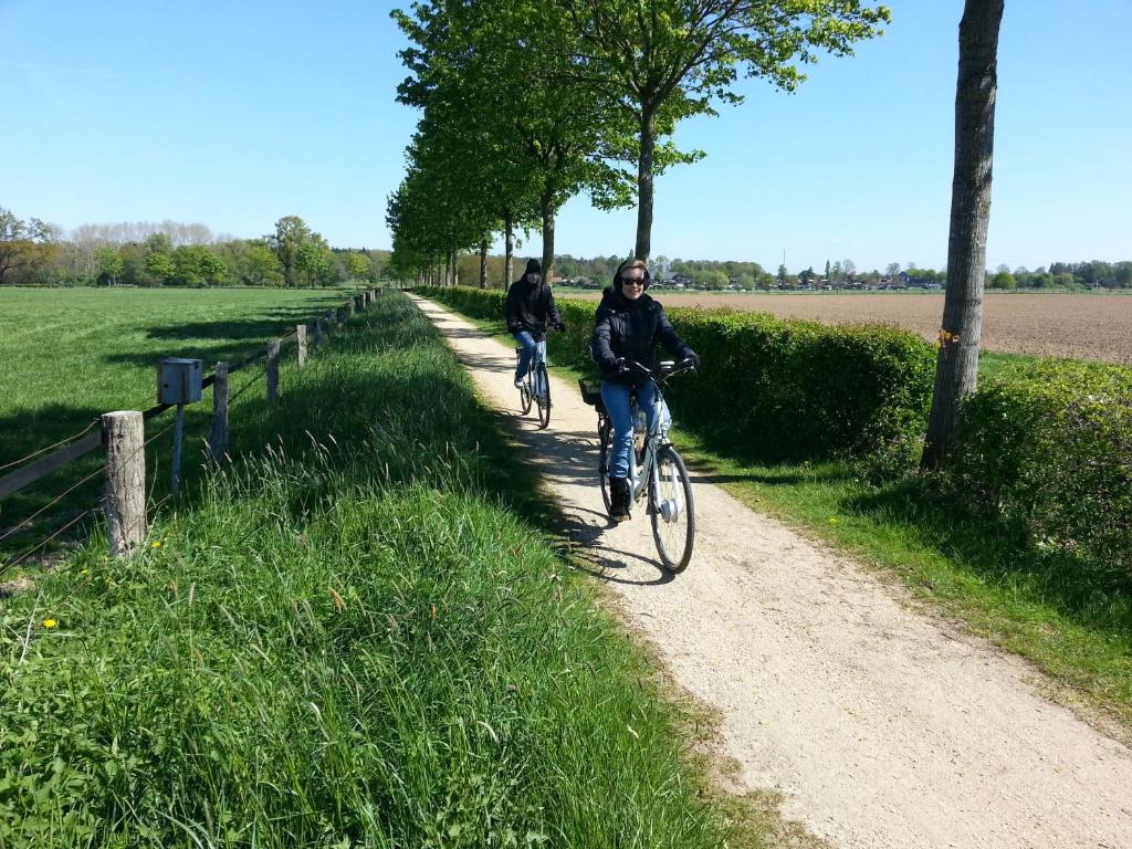 Landhotel Stuer photo