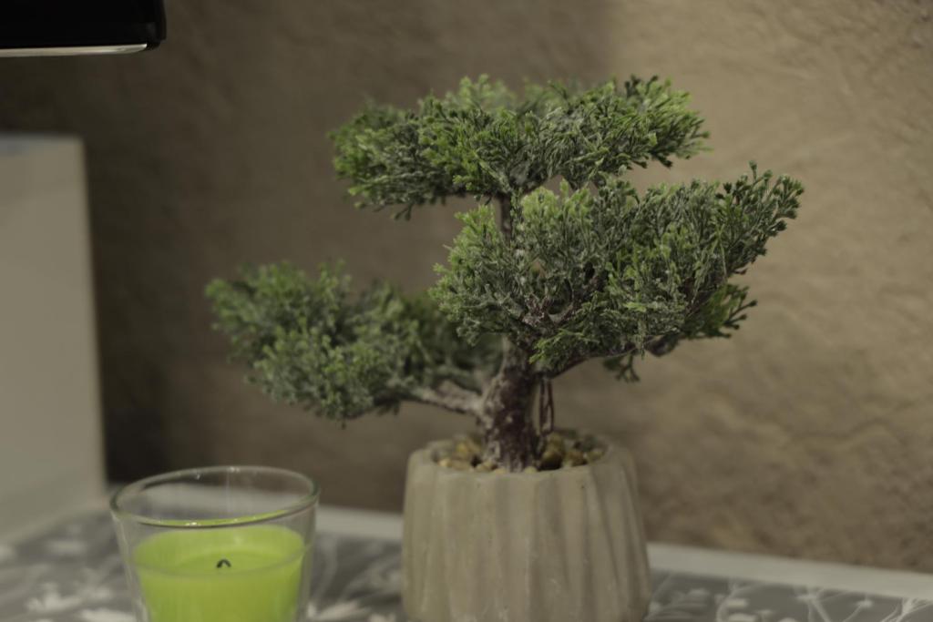 Apartment Alexandra - 4