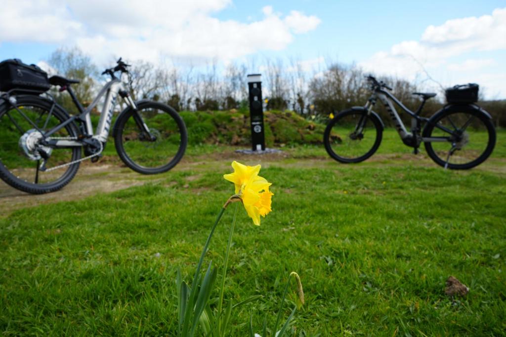 Primrose, Loveston photo 8