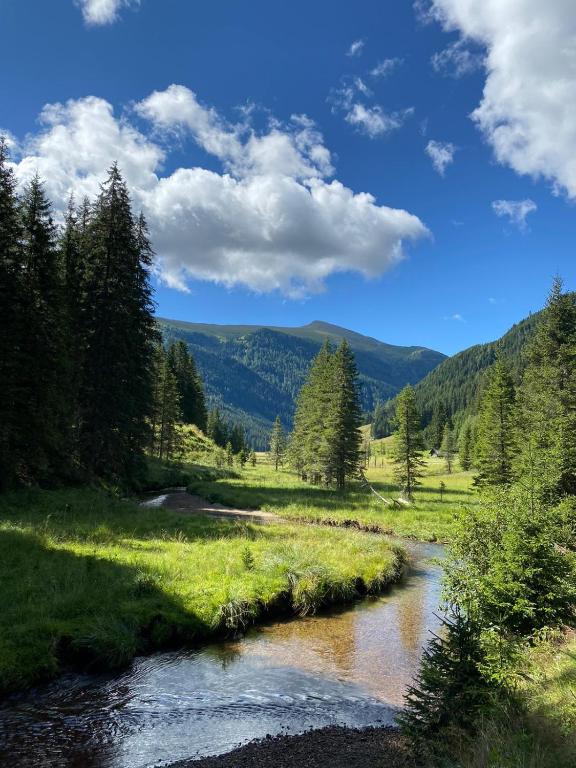Almhütte Prem 1 - 5