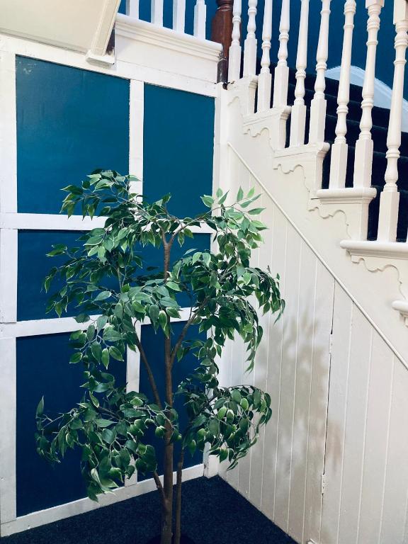 Abbeyfield Guesthouse photo