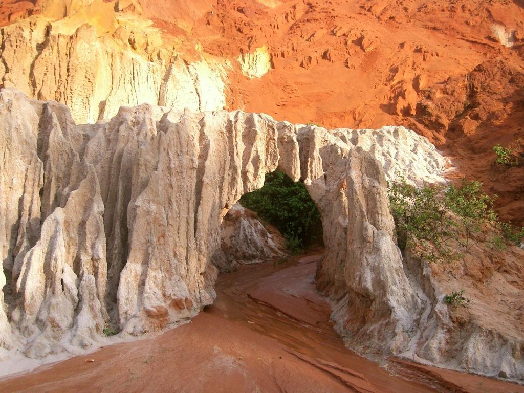 Surrounding environment