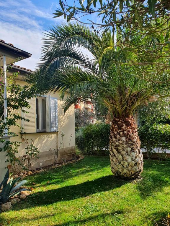 Casa Pineta - 4