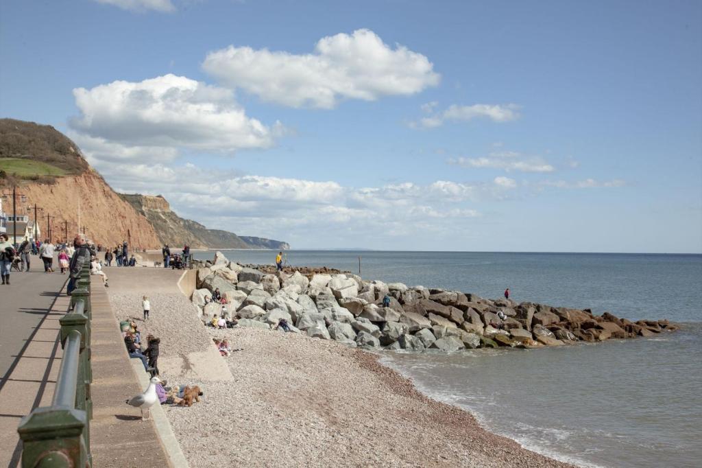 Cobblers Cottage, Sidmouth photo 8