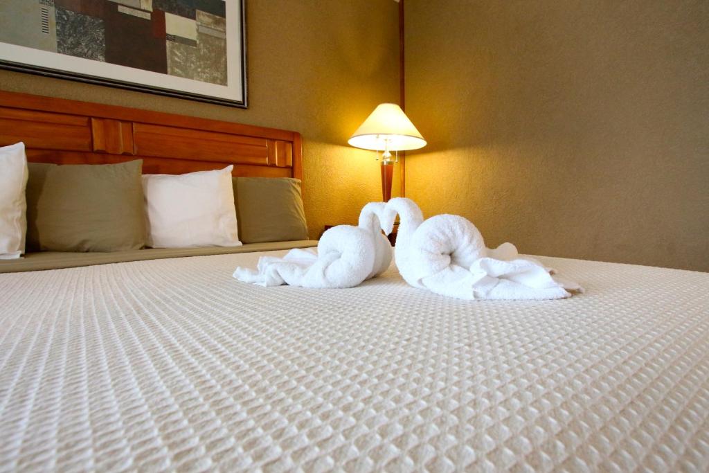 Crusader Oceanfront Resort photo