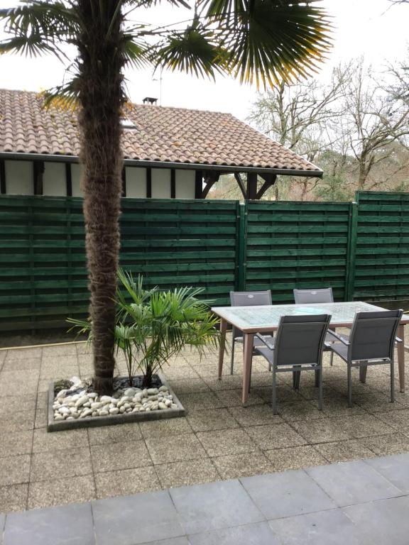 Agréable appartement à 1km du centre de La Teste-de-Buch - 4