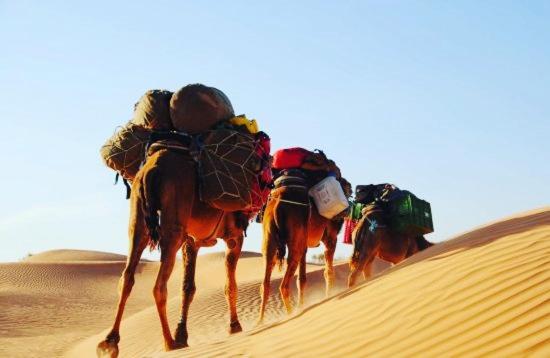 Camp Sahara Holidays photo