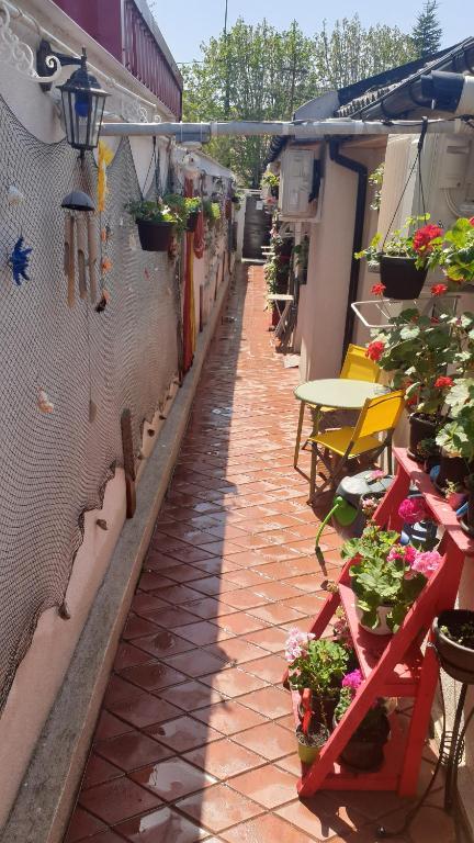 Casa Nicholas photo