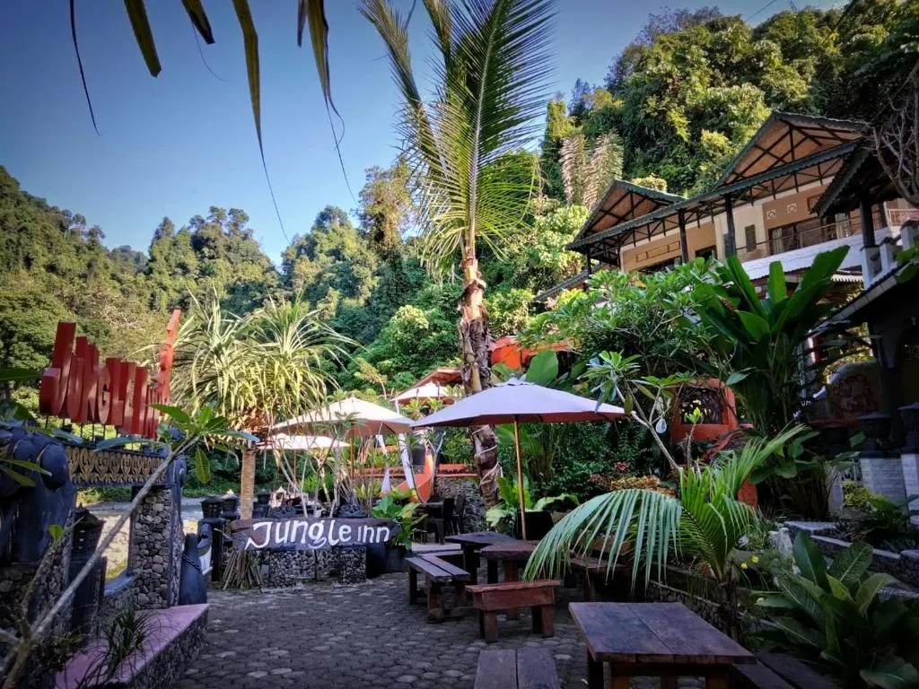 Jungle Inn Bukit lawang，位于武吉拉旺的酒店