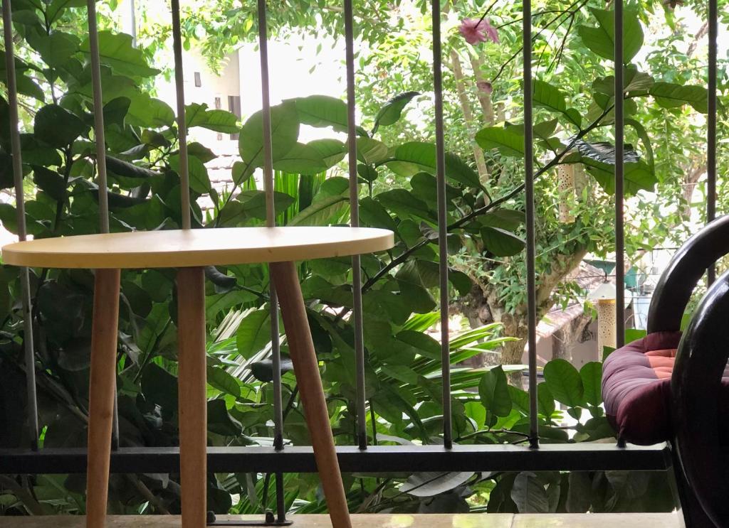 Q' Villa Garden Homestay photo