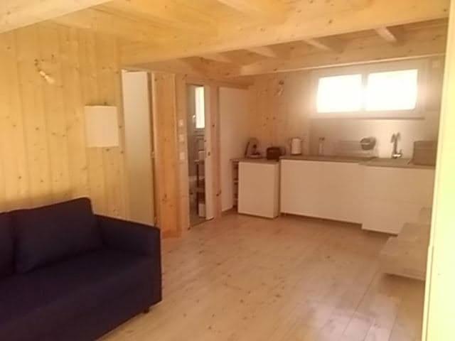 Studio dans les pins Lacanau - 3