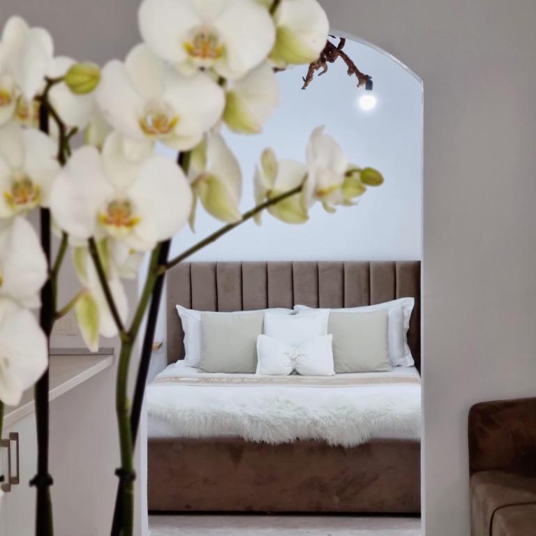 Green Villa — Hotel in Vlora