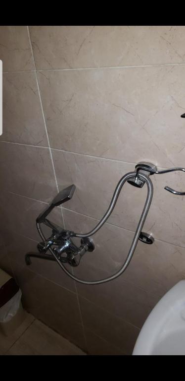 Guest House Dodo photo