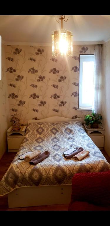 Guest House Dodo photo