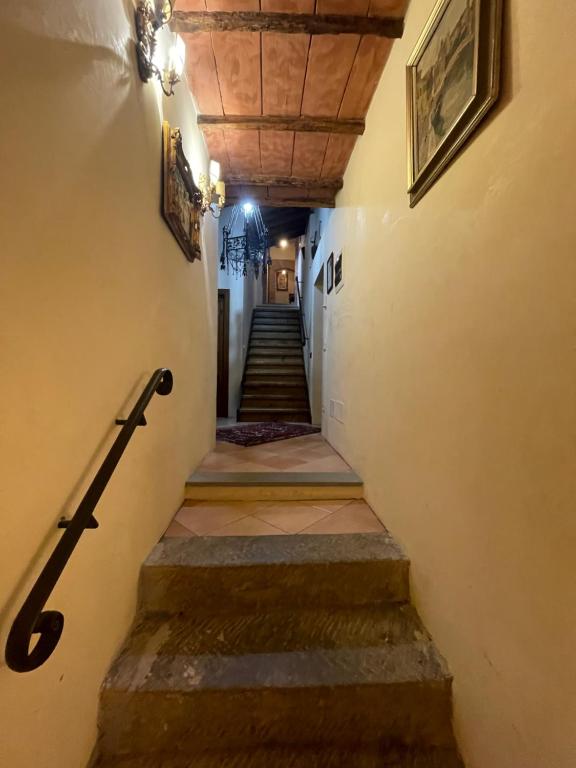 Tenuta dei Cavalieri photo