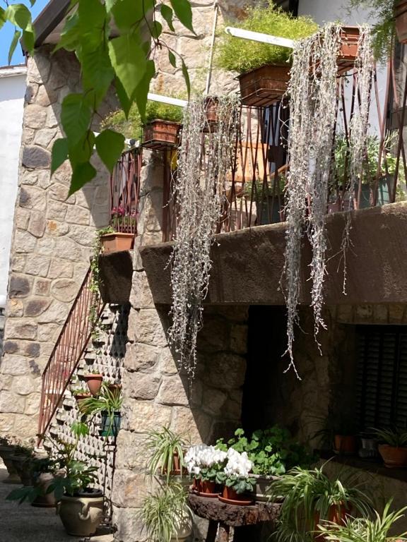 Tencarola B & B photo