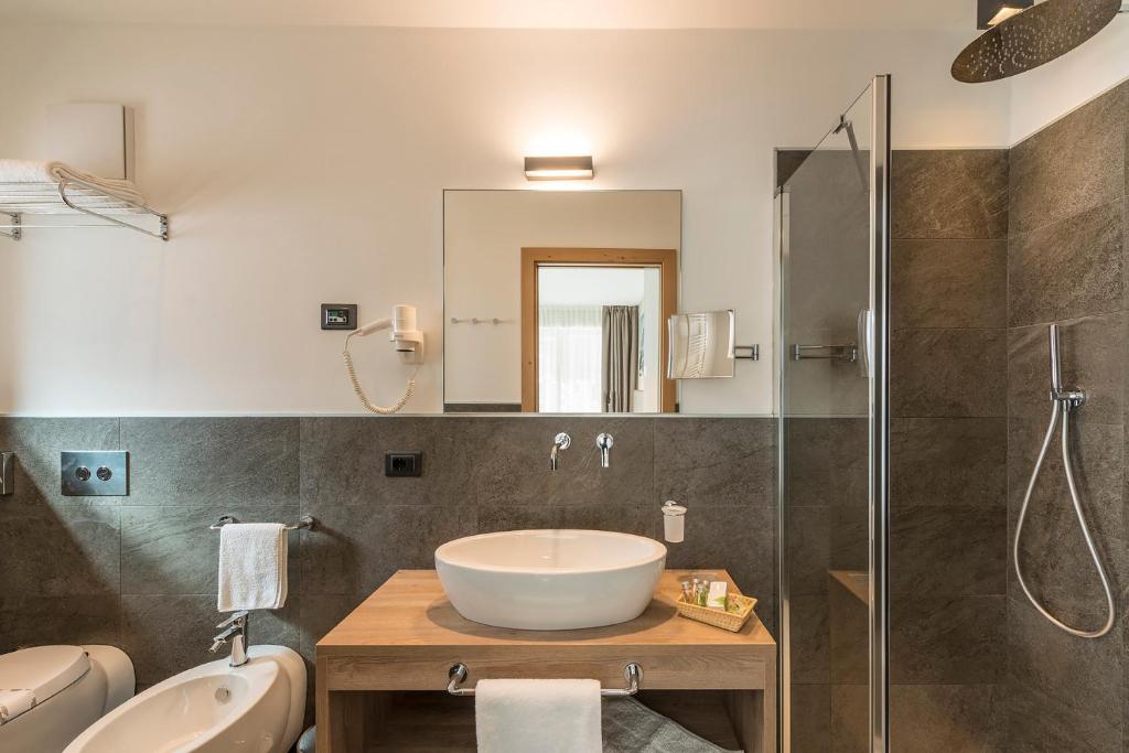 Chalet Aster - 3
