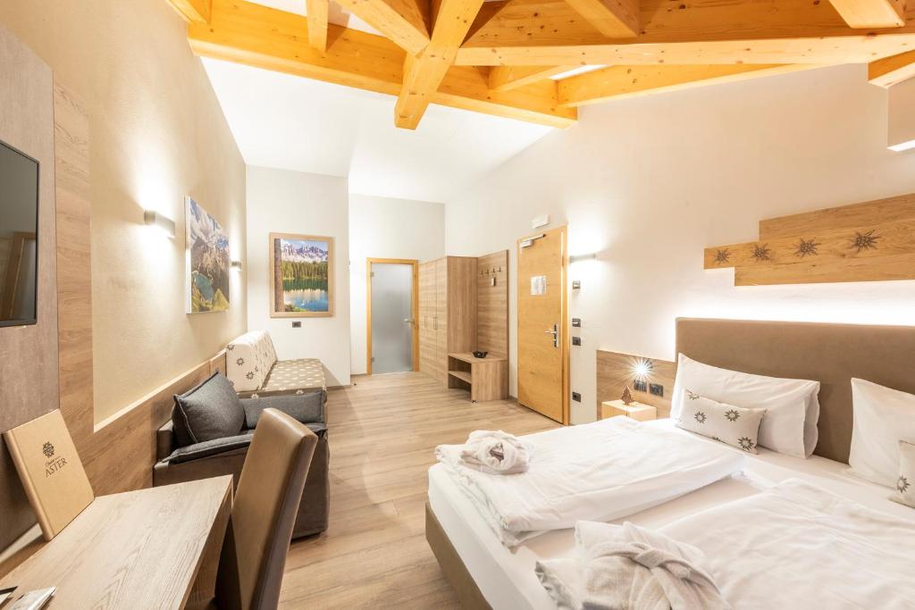 Chalet Aster - 2