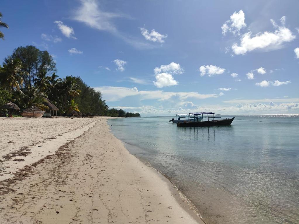 Juani beach bungalows photo