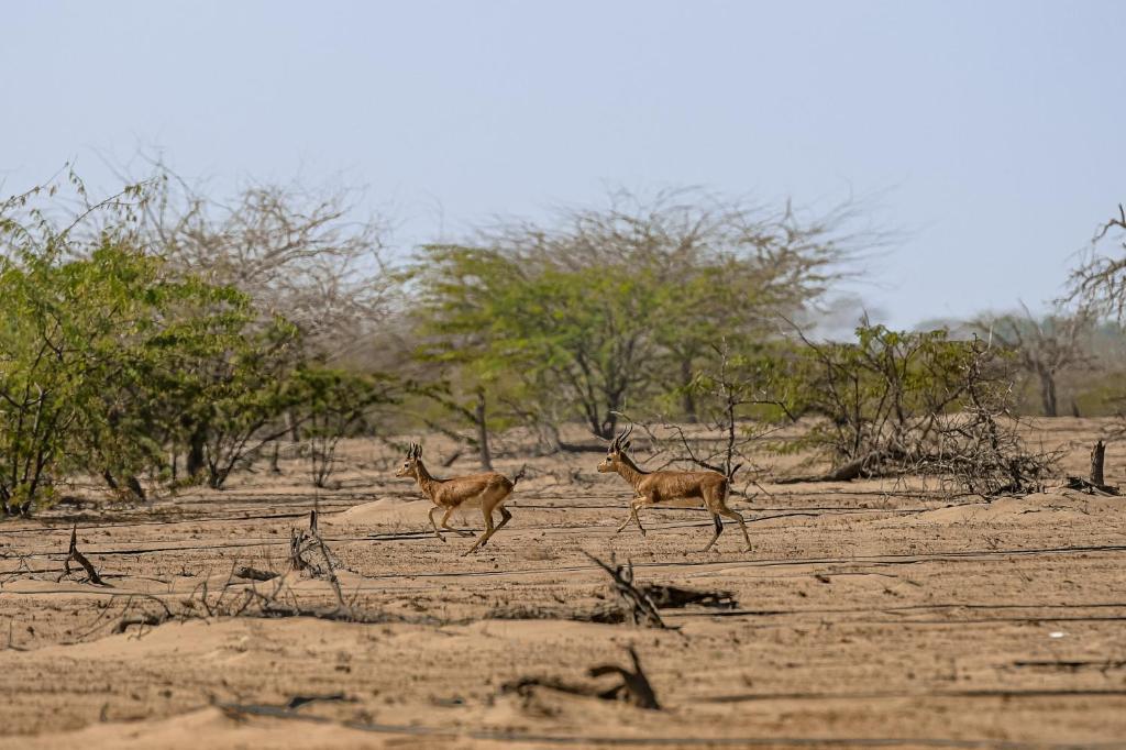 Surrounding environment