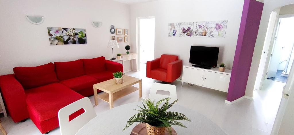 Apartamento Oasis Beach - 5