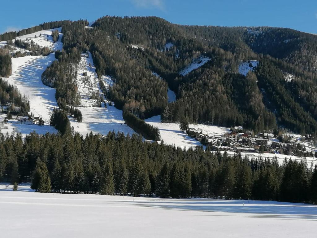 Gemütliches Ferienhaus mit Holzofen und Sauna - 4