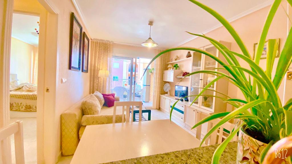 Beautiful Apartment near Playa de los Locos - 5