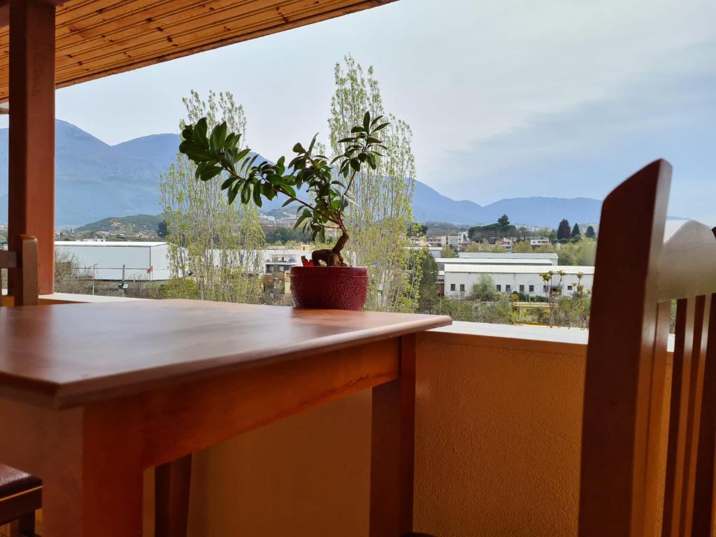 Bar Kafe Pjetri Guest House photo