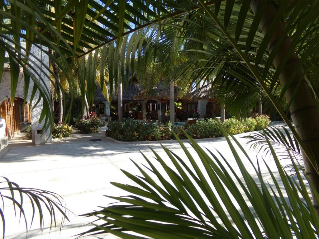 Hotel Casa de Lirio Diamante - 5