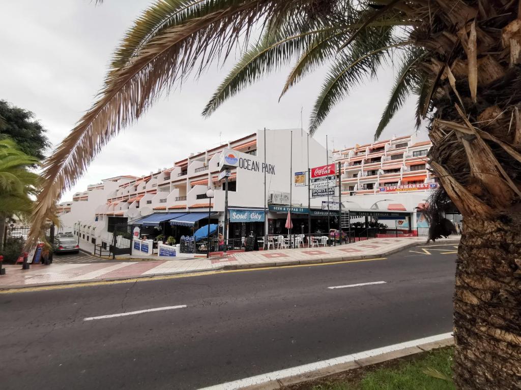 Magical Ocean Park Apartment Ocean View 400 m to the Beach - 3