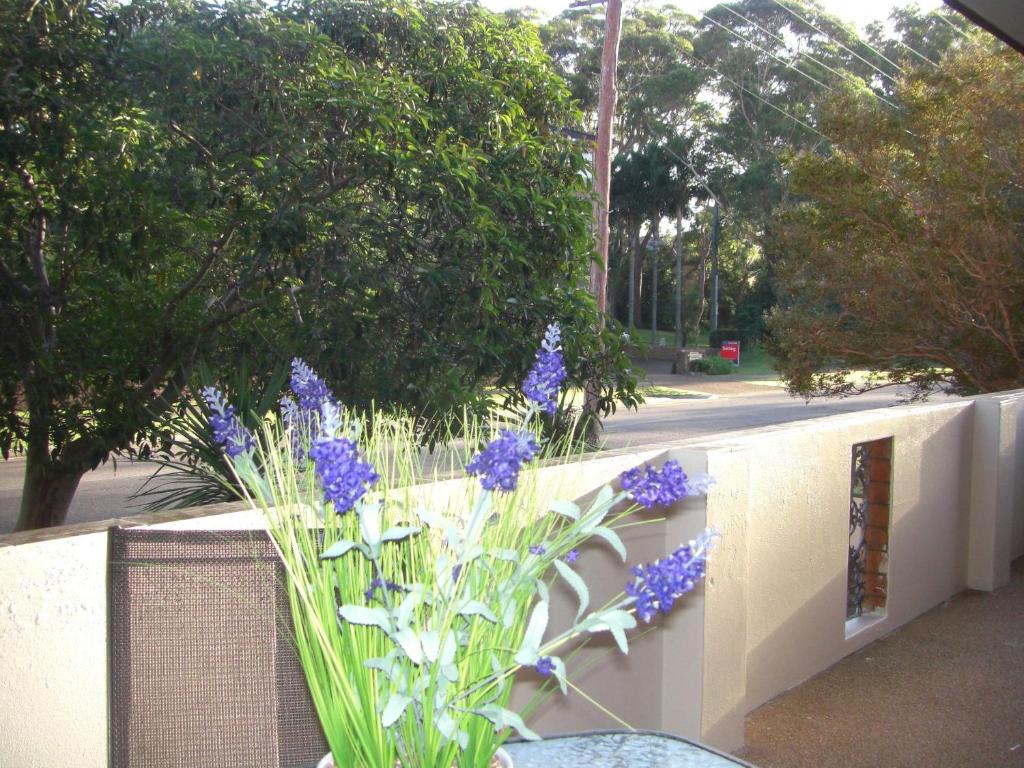 Bronte Court 2 air con complex pool and centrally located — Hotel in Port Stephens