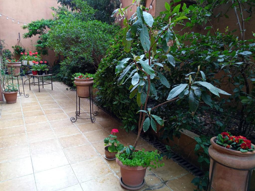 Green Terrace photo