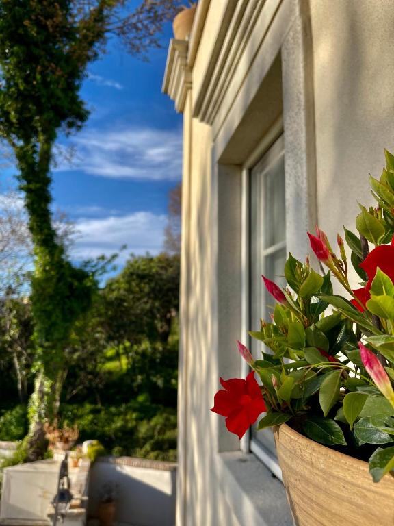Carpofoli Corfu photo