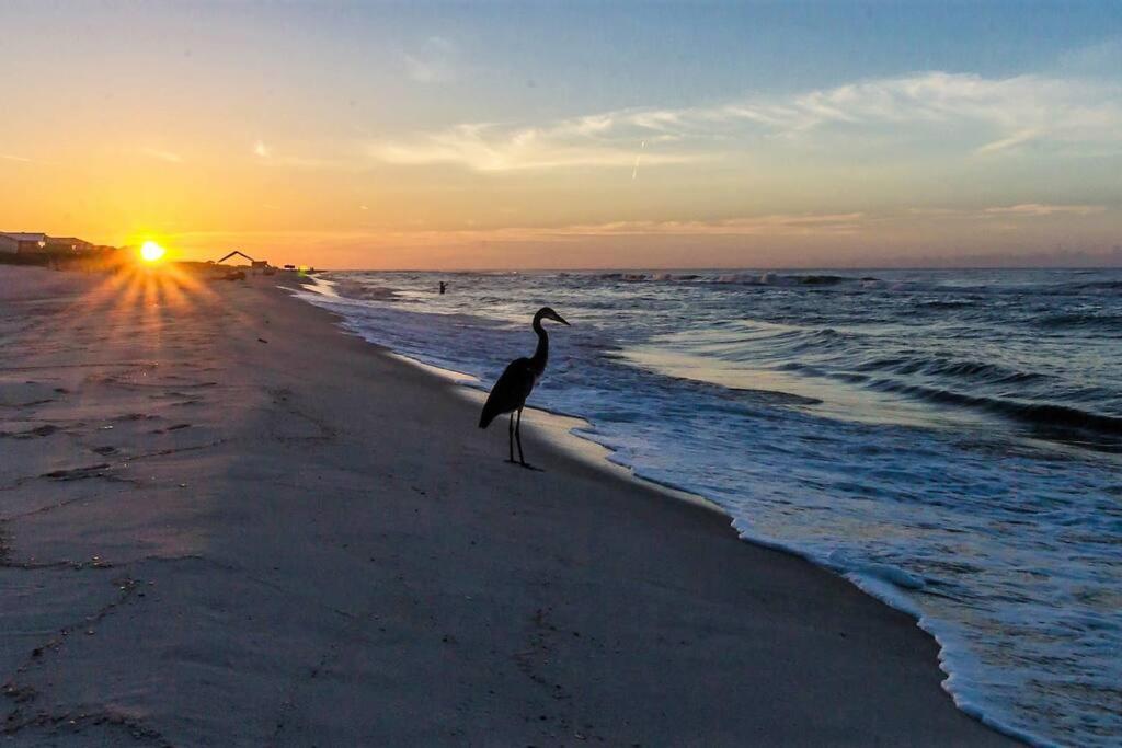 Sandpiper 12A-Beach Blessings Completely updated Beachfront Condo-Seasonally Heated Pool, Gulf Shores