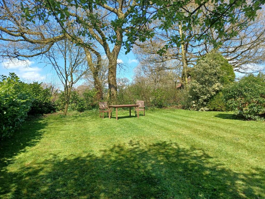 Magpie Cottage, Brewham photo 5