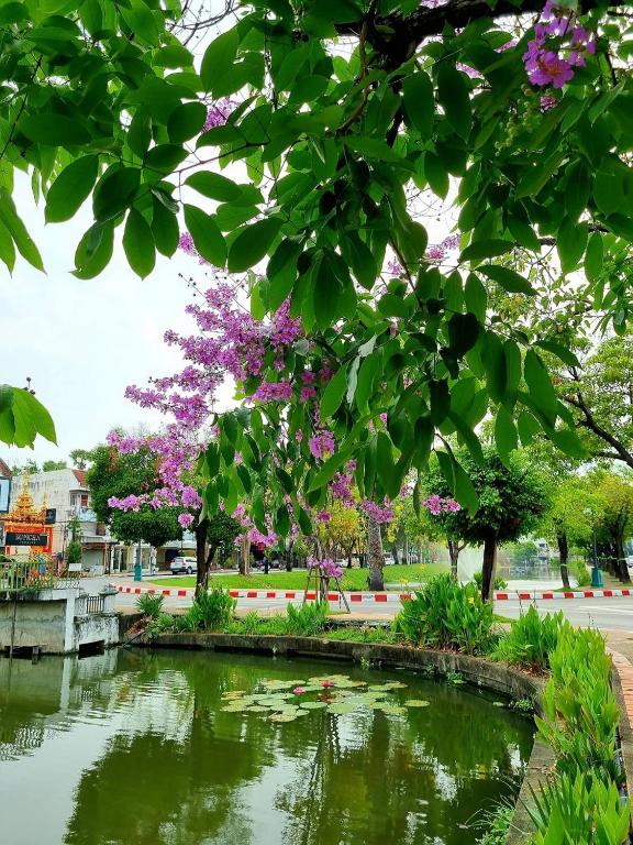 周辺観光スポット