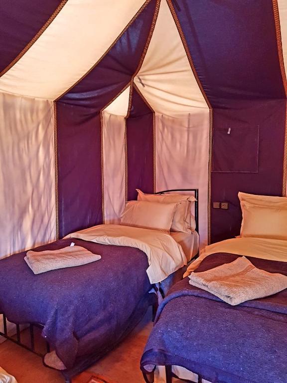 Sahara Nomad Camp photo