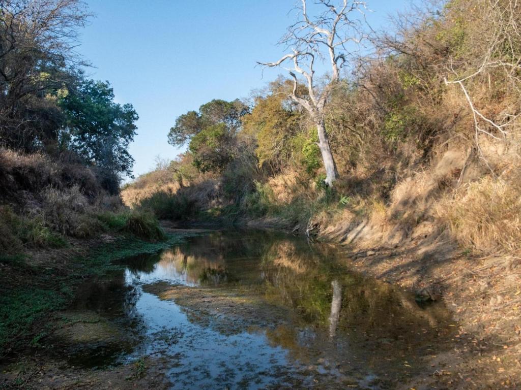 African Sky Bush Camp photo