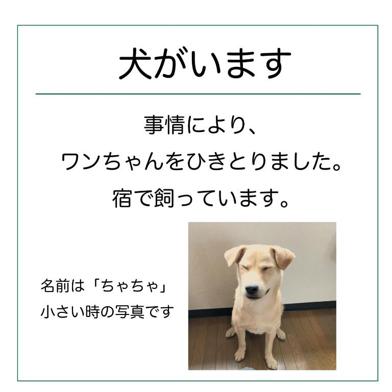 Guesthouse Sakamichi Sampo photo