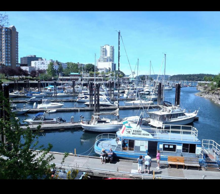 Surrounding environment