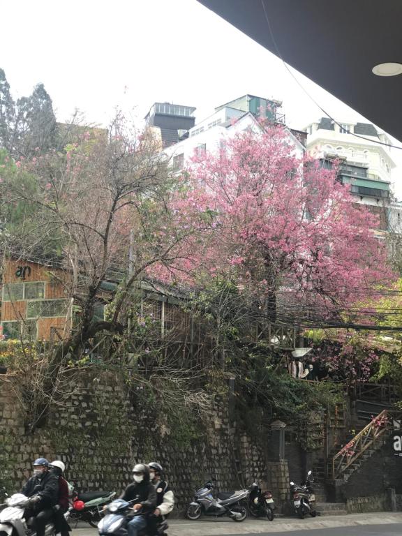 Pansy Hotel Dalat photo