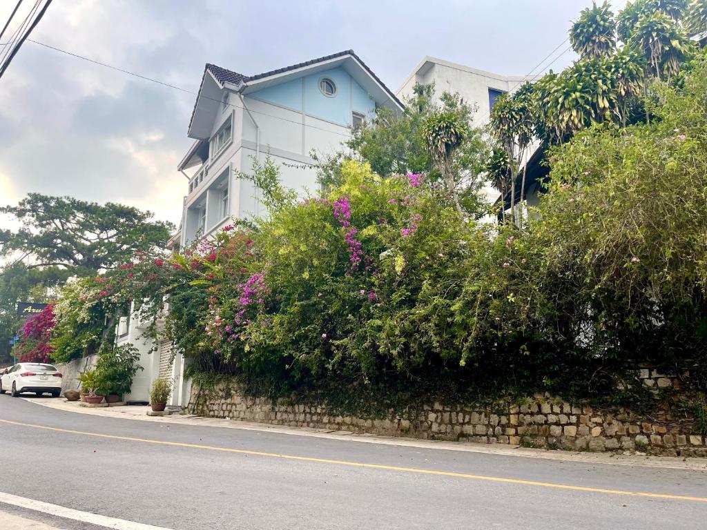 CT Home